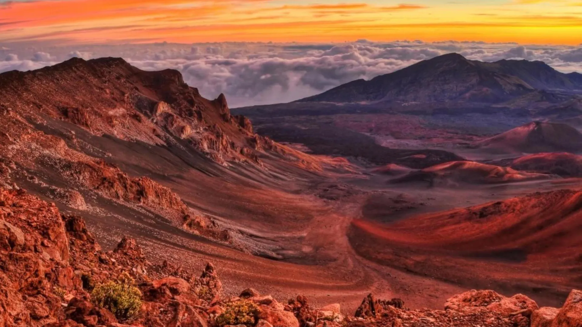 Napili Shores C116 Kahana 0*,  Stati Uniti